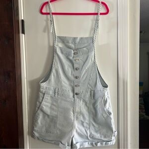 Celebrity Pink Light Blue and White Striped Overalls
